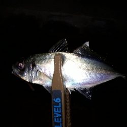 寒風吹きされる中の釣り