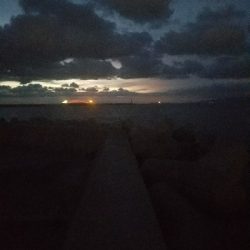 ガシラ釣り　～結構楽しめた～