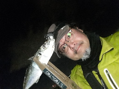 急遽、アジング