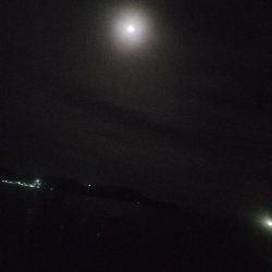 あなご釣り ~トツカは居ず~