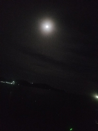 あなご釣り ~トツカは居ず~