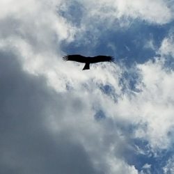 キス釣り ~まだ釣れます!~