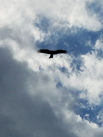 キス釣り ~まだ釣れます!~
