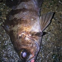 横浜アジは終結？