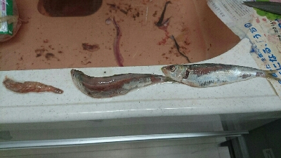 セットアッパーで初