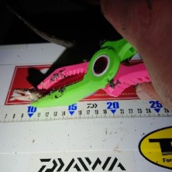 満足しました!!