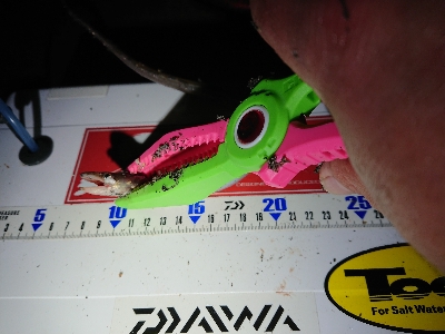 満足しました！！