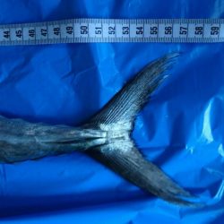 仕事が急に休み！