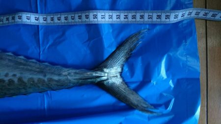 仕事が急に休み！