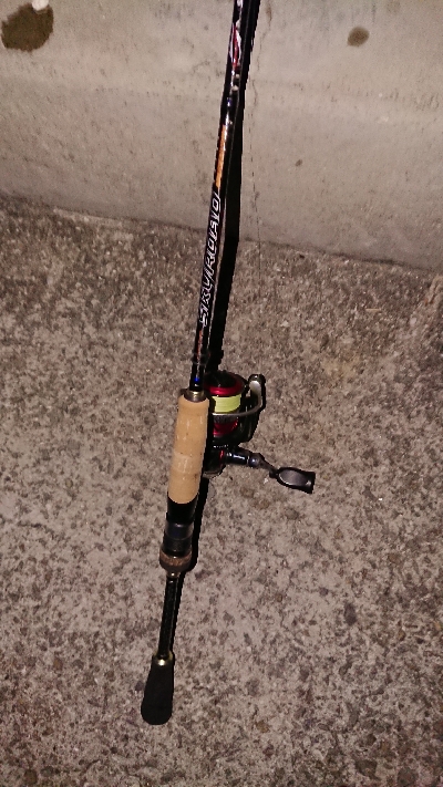 メバリングのつもりが