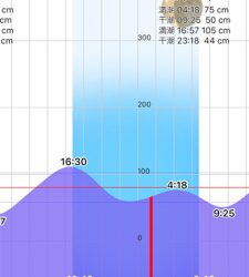 メバリング開幕