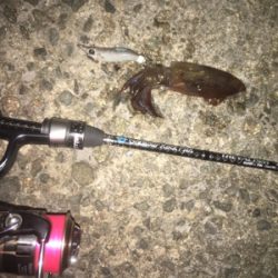 ガシリング ／ヒイカナイト☆GUNNING-STYLE