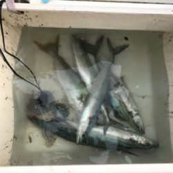 高波の中ジギング釣行