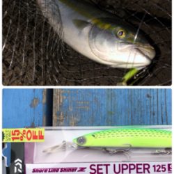 青物根魚ヒトデの三目達成^_^