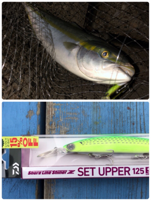 青物根魚ヒトデの三目達成^_^