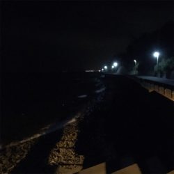 30分だけの寄り道アジング