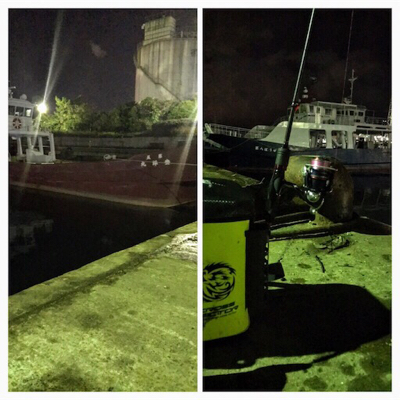 キャストして1091ヒイカ釣り\(^^)/