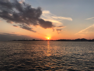 マイワシーバス！？