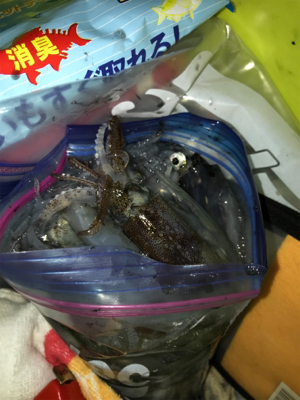 初の80杯オーバー\(^^)/ヒイカ釣り