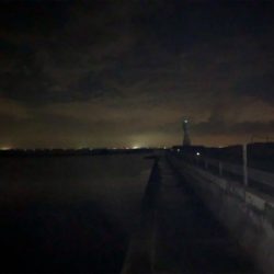 メバルプラッキング！