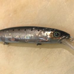 サバサバサバサバ〜