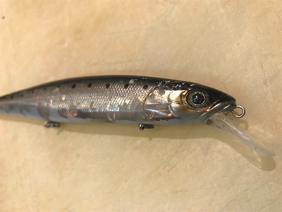 サバサバサバサバ〜