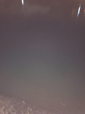 極寒のシーバス釣行