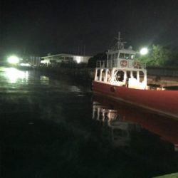 寒い中でのヒイカ釣り