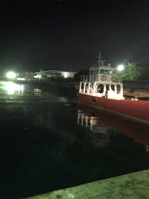 寒い中でのヒイカ釣り