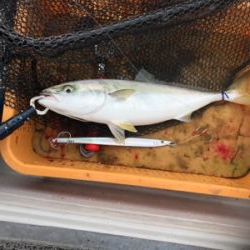 毎年恒例竿納ビッグファイター釣行