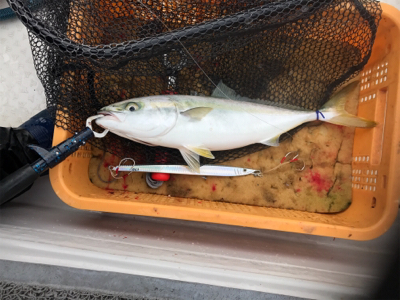 毎年恒例竿納ビッグファイター釣行