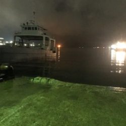 雨の降る寒い中でのヒイカ釣り