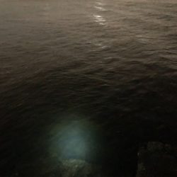 連日のタッチ〜チャレンジ