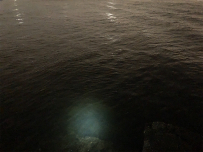 連日のタッチ〜チャレンジ