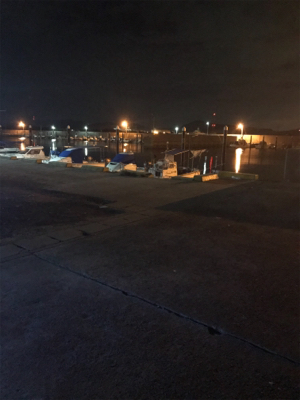 やっぱり渋いヒイカ釣り(＞＜)