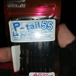 ニューワームでメバリング