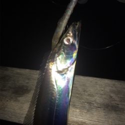 ドラゴン現れず