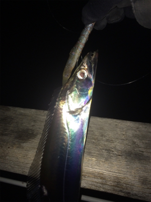 ドラゴン現れず