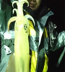 ジギング&イカメタル