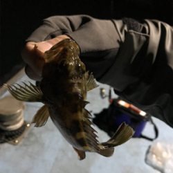 樋島ランガン虫ング