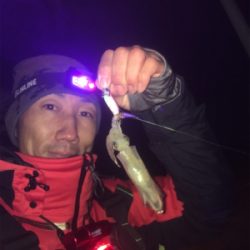 ヒイカまだまだ楽しめる☆GUNNING-STYLE