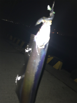 寒さも緩んで今年最期のタッチポン陸