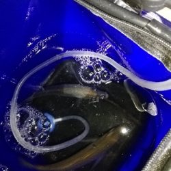 渋い、でもそれも楽しい♪