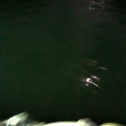 ナイトアジング