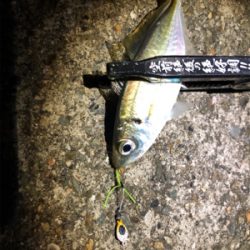 アジングプラクティス