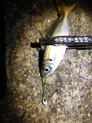 アジングプラクティス