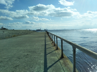 サヨリはいつまで?