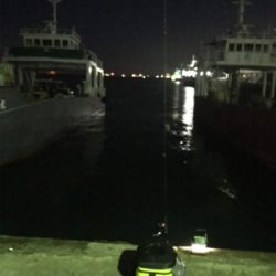 やや寒い中でのヒイカ釣り(^^)