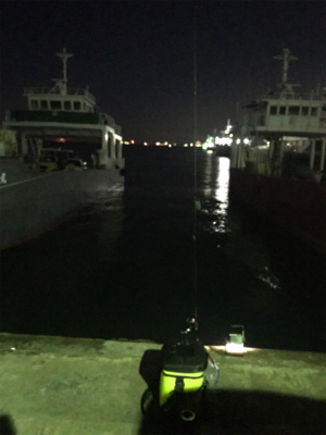 やや寒い中でのヒイカ釣り(^^)