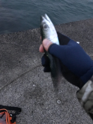 ライトゲーム日和